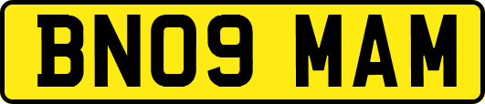 BN09MAM