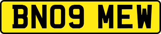 BN09MEW