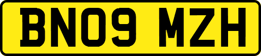BN09MZH