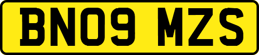 BN09MZS