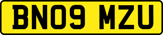 BN09MZU