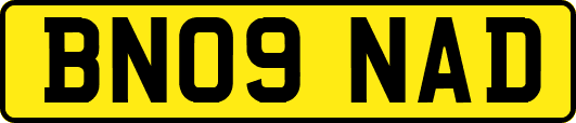 BN09NAD