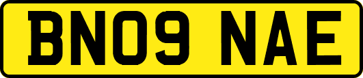 BN09NAE