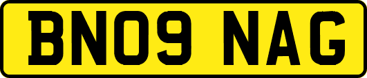 BN09NAG