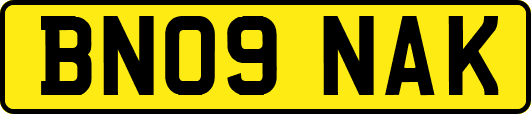 BN09NAK