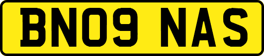 BN09NAS
