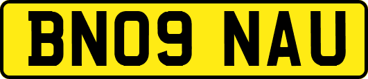 BN09NAU