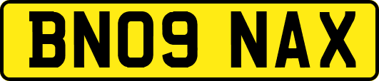 BN09NAX