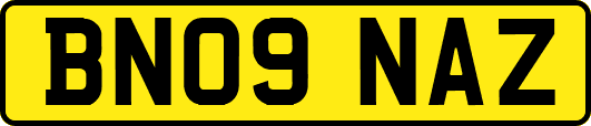 BN09NAZ
