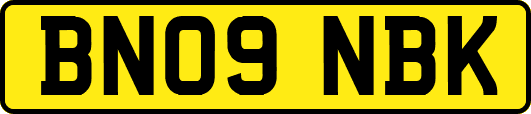 BN09NBK