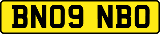 BN09NBO