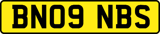 BN09NBS