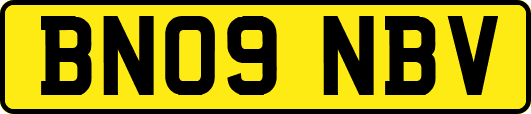 BN09NBV