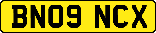BN09NCX