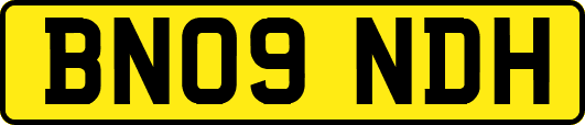 BN09NDH