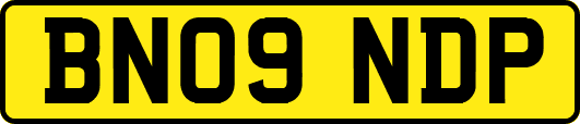 BN09NDP