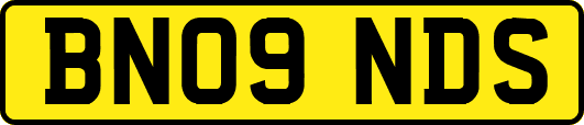 BN09NDS