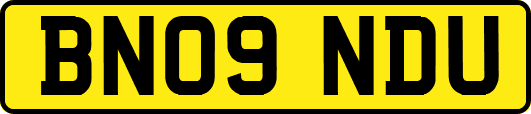 BN09NDU