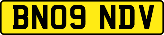 BN09NDV