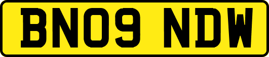 BN09NDW