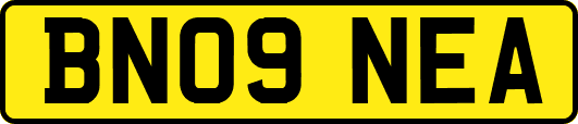 BN09NEA