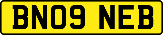 BN09NEB