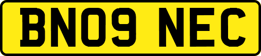BN09NEC
