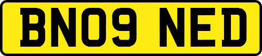 BN09NED