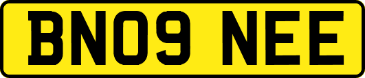BN09NEE