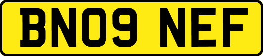 BN09NEF
