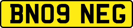 BN09NEG