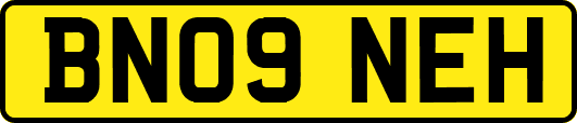 BN09NEH