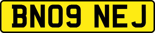 BN09NEJ