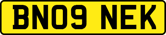 BN09NEK