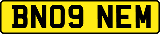 BN09NEM
