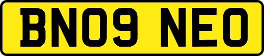 BN09NEO