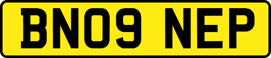 BN09NEP