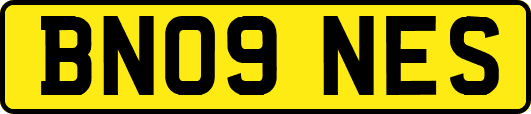 BN09NES