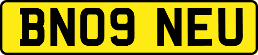 BN09NEU