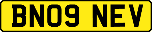 BN09NEV