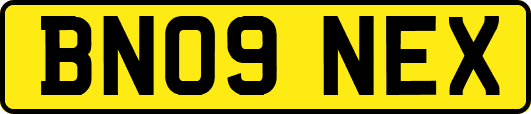 BN09NEX