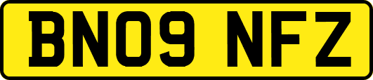 BN09NFZ