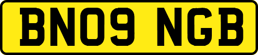 BN09NGB
