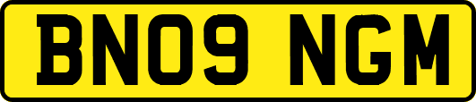 BN09NGM