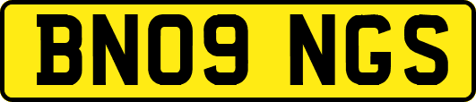 BN09NGS