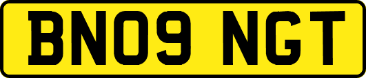 BN09NGT