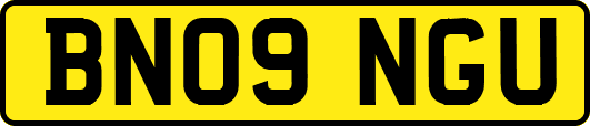 BN09NGU
