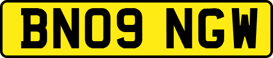BN09NGW