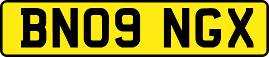 BN09NGX