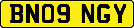 BN09NGY